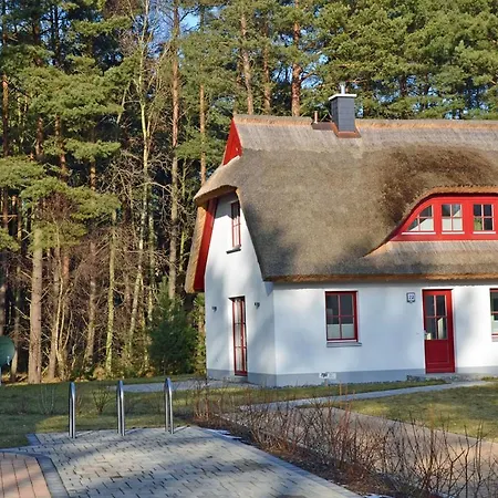 Sandregenpfeifer *